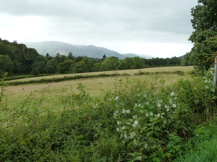 Borrowdale Road