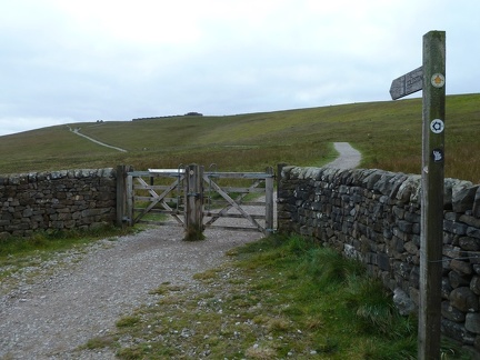 The Brow of The Hill