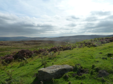 Barden Moor